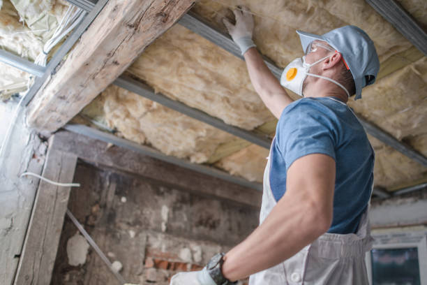 Best Commercial Insulation in Dunwoody, GA
