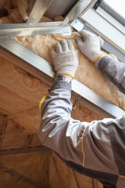 Best Geographic-Specific Insulation Services in Dunwoody, GA