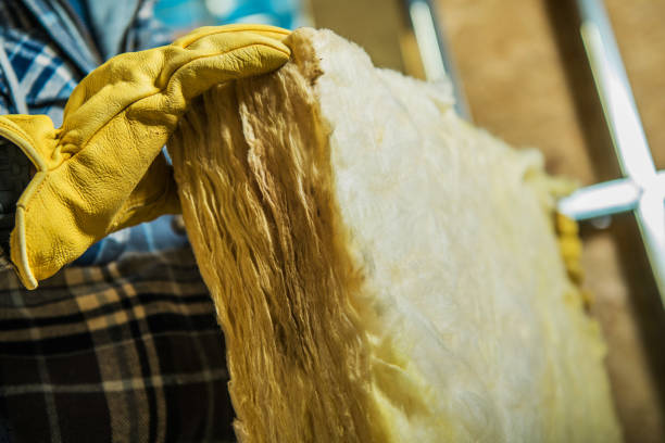Best Eco-Friendly Insulation in Dunwoody, GA